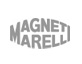 Magnti Mareli